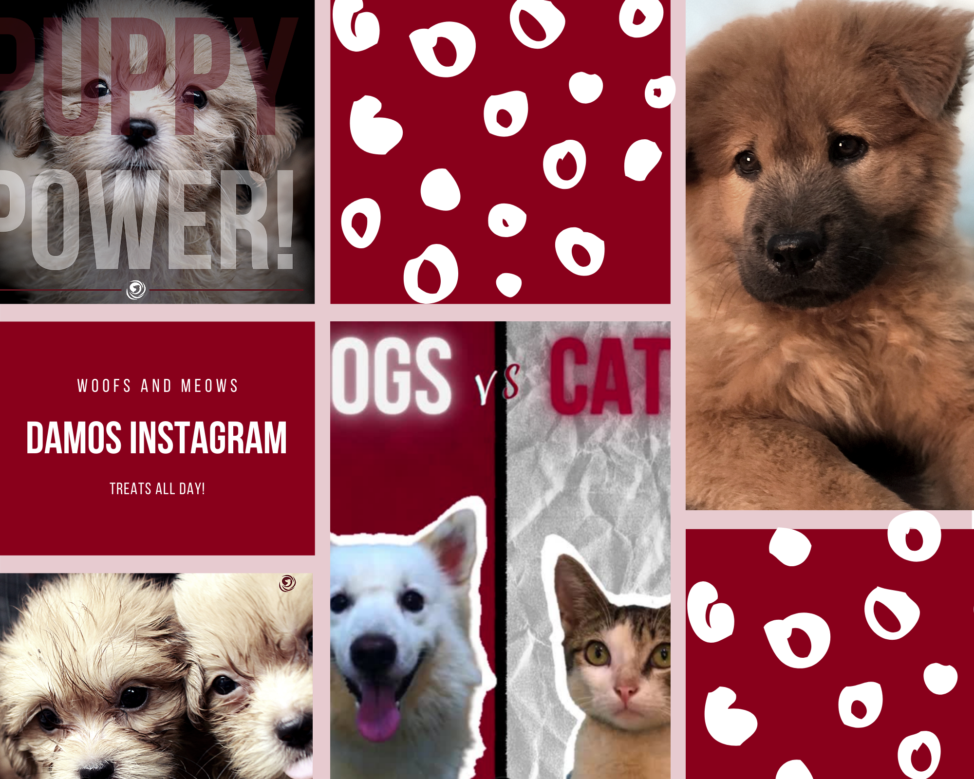 Visit our instagram page